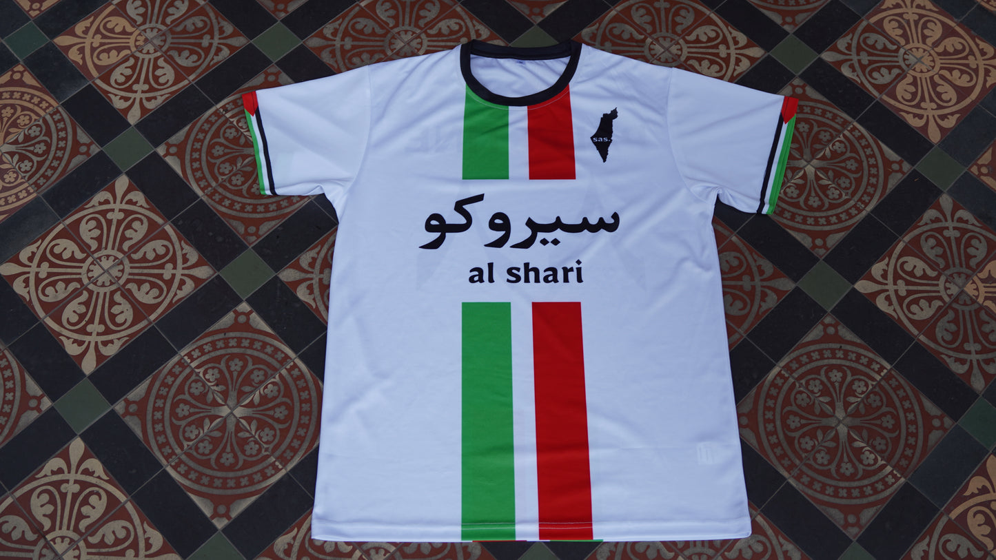 Palestine Jersey- drop 1